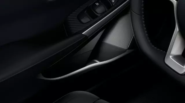 Door Pocket Lighting