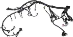 Engine Harness