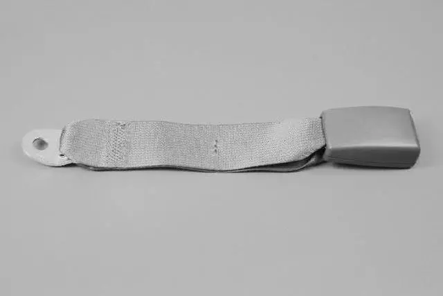 Rear Inner Seat Belt, Right & Left