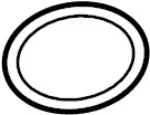 Catalytic Converter Gasket