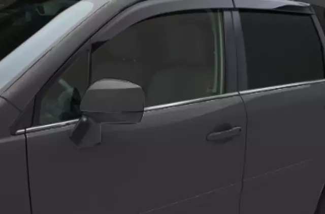 Body Side Molding - Dark Gray Metallic