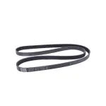 Serpentine Belt