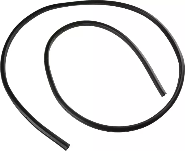 Weather-Strip On Body