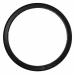 2006-2019 Ford - Rear Main Seal