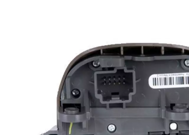 Very Dark Cashmere Cruise Control Switch