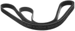 Serpentine Belt