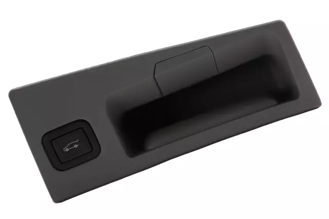 Dark Titanium Liftgate Trim Panel Pull Cup