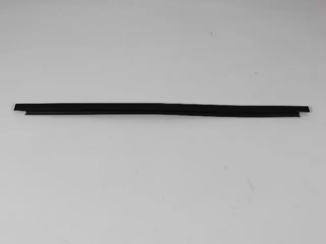 Rear Door Seal, Right