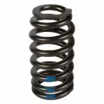 Valve Springs