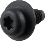Fuel Door Screw