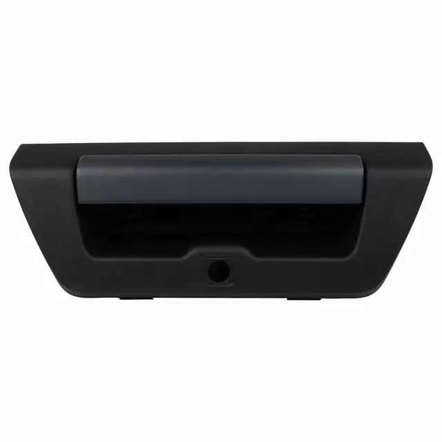 2015-2020 Ford F-150 Tailgate Handle FL3Z-9943400-KAPTM | OEM