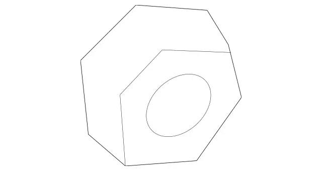 Hexagon Nut