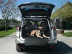 Pet Cargo Area Protector