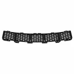 Bumper Grille