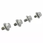 Shield Screw