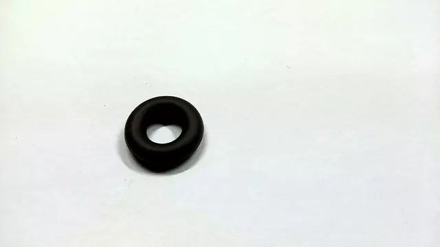 Fuel Injector Seal