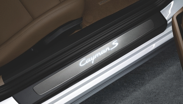 Door Entry Guards In Stainless Steel