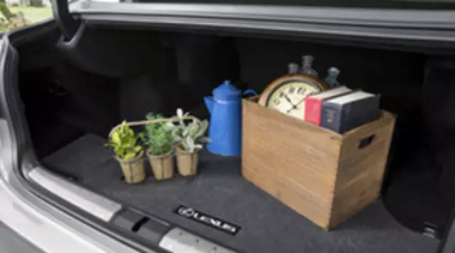 2018-2020 Lexus LS500h - Cargo Area Mat, Carpet, Black