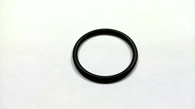 Fuel Injector O-Ring