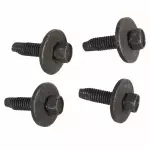 Striker Screw