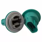 Back Up Light Socket