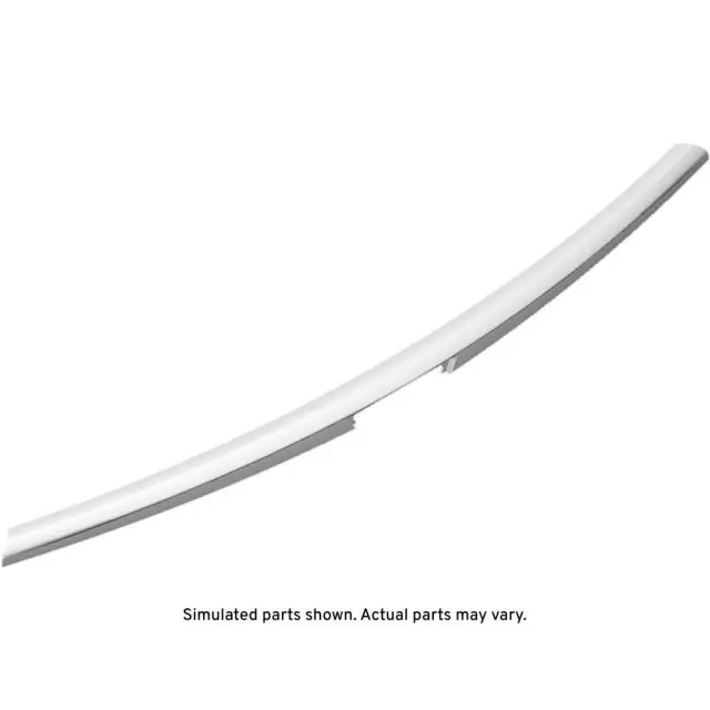 2021-2024 Cadillac - Silver Rear Closure Center Applique