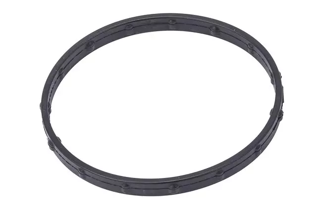 Throttle Body Gasket