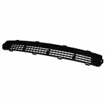 Bumper Grille