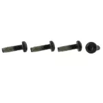 Center Seat Belt Screw