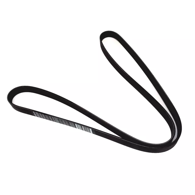 Serpentine Belt