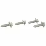 Roof Molding Screw