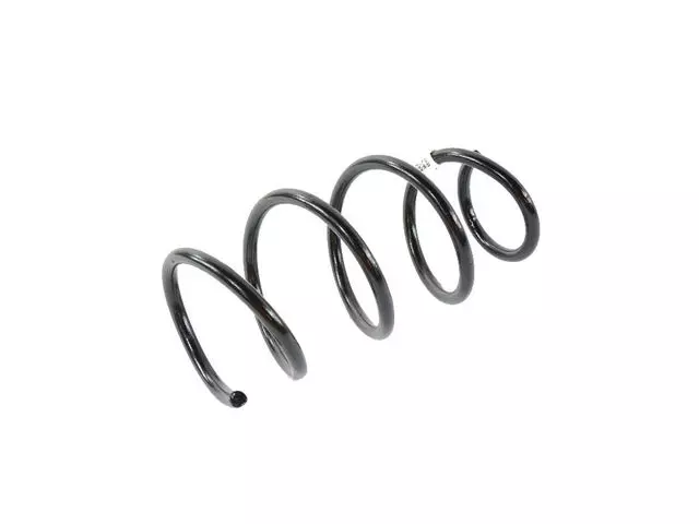 Rear Coil Spring, Left Rear