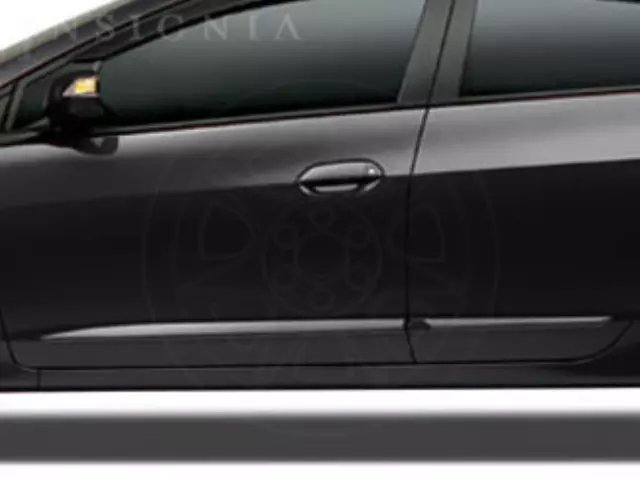 Body Side Molding - Crystal Black Pearl