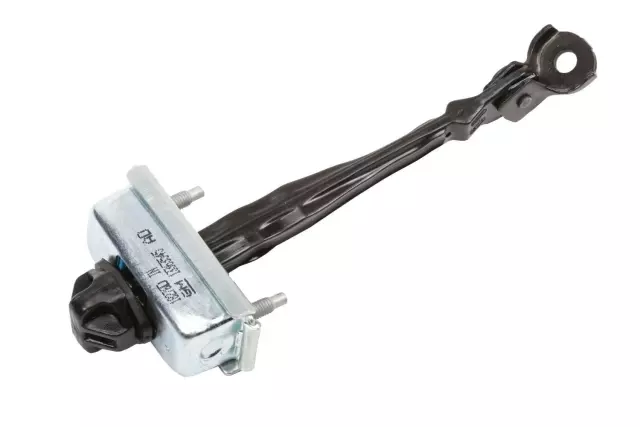 Rear Door Check Assembly