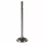 Engine Exhaust Valve