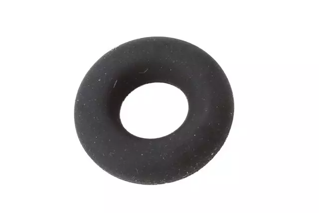 Fuel Injection Fuel Rail O-Ring