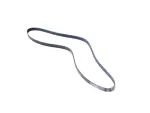 Serpentine Belt