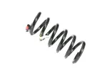 Front Coil Spring, Left