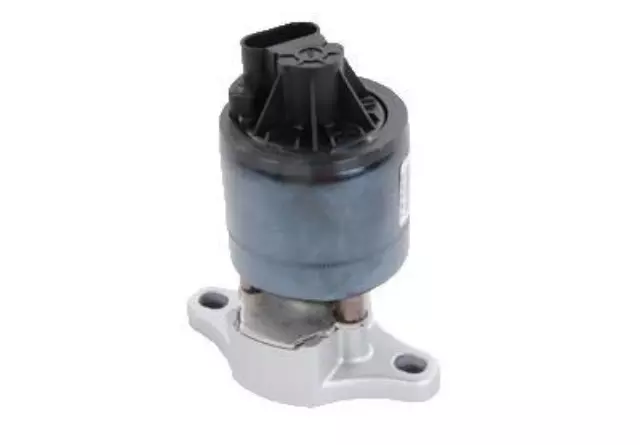 Exhaust Gas Recirculation (EGR) Valve