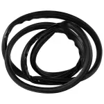 OEM NEW 2015-19 Ford Transit 150 Left Right Surround Weather Strip CK4Z6120708B