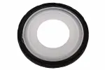Crankshaft Rear Main Seal