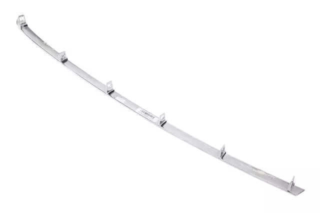 Galvano Silver Rear Driver Side Bumper Cover Molding