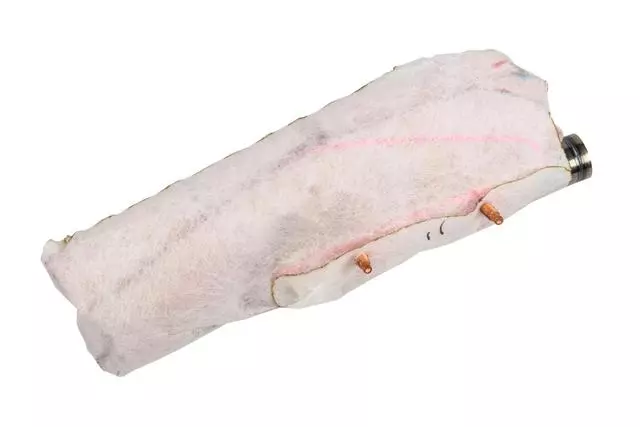 Passenger Seat Outboard Seat Back Airbag