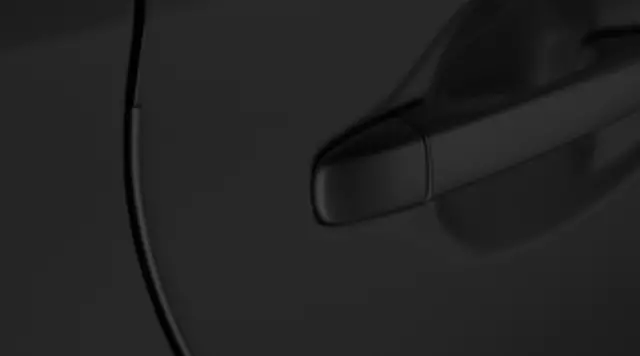 2020-2022 Toyota Corolla - Door Edge Guard, Black Sand Pearl