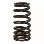 2018-2020 Ford Valve Springs