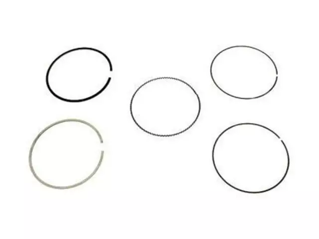 Piston Rings