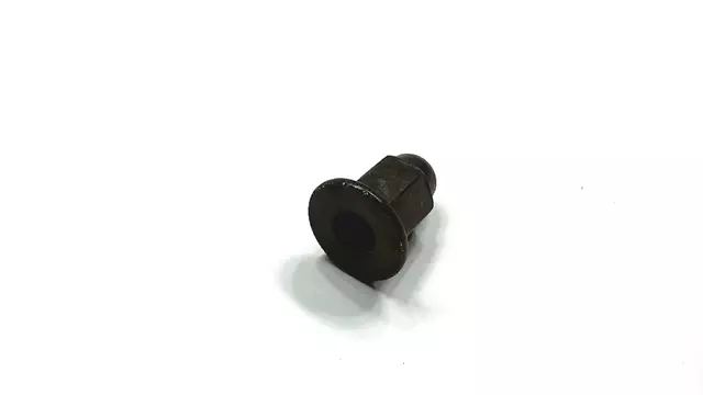Backup Lamp Retainer Nut