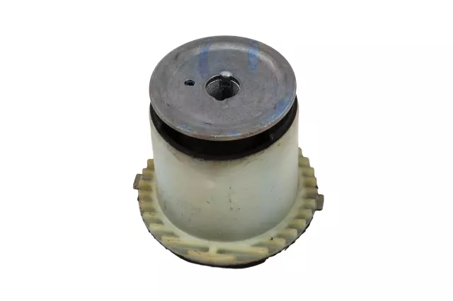 Rear Suspension Support Front Bushing