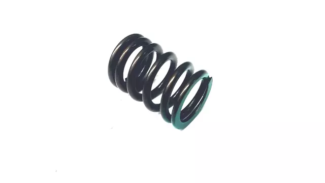 Valve Springs