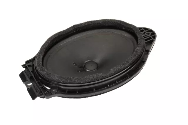 Rear Radio Speaker